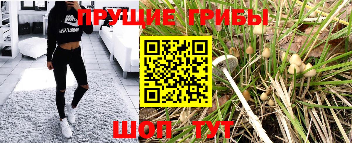 Железноводск  Псилоцибиновые грибы мухоморы  Вход с VPN 